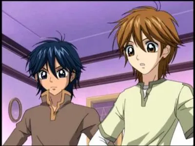 Qui sont Houx et Saule ?