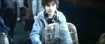 Comment s'appelle le fils an de Harry Potter ?