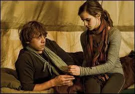 O s'embrassent Ron et Hermione (livre) ?
