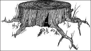 Babbitty Lapina et la souche qui gloussait : que demande le charlatan pour ses 'sortilges' de gurison ?