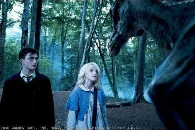 Dans quel tome Harry rencontre-t-il Luna ?