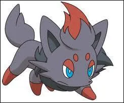 Quelle est la taille de Zorua ?