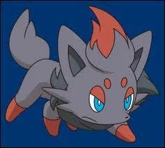 Quel est le num�ro de Zorua dans le Pok�dex national ?