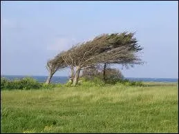 Vent : se traduit par :