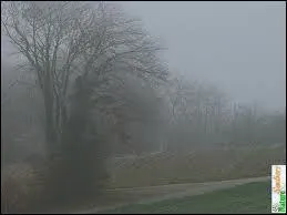 Brouillard : se traduit par :