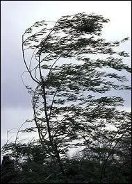 Tempte : se traduit par :