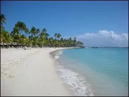 Plage : se traduit par :