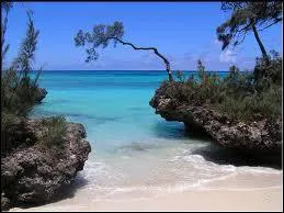 Calanque : se traduit par :