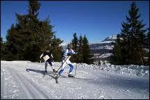 Ski de fond : se traduit par :