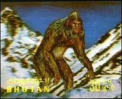 Y est-y ou y est-y pas !