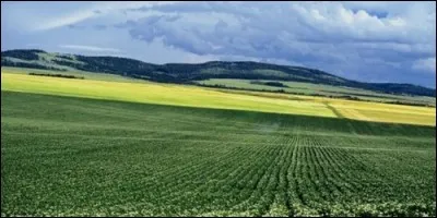 Un hectare mesure 100 m².