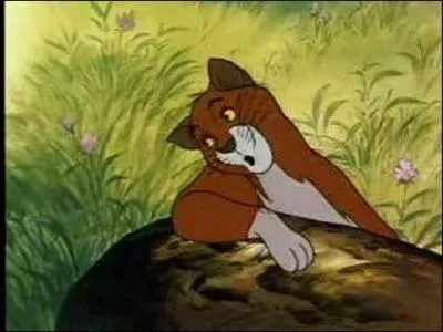 Comment s'appelle ce personnage ?