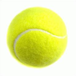 Quiz Sport