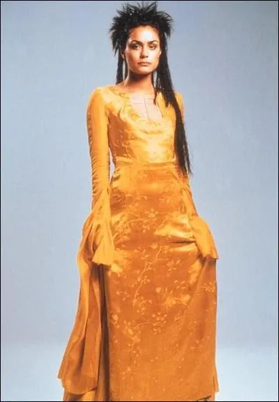 Dans quel film, dont le hros est interprt par Heath Ledger, peut-on voir Shannyn Sossamon dans cette robe de satin jaune ?