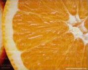 Quiz Fruits