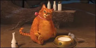 Quel est ce chat, ami de Shrek ( dans Shrek 4 ) ?