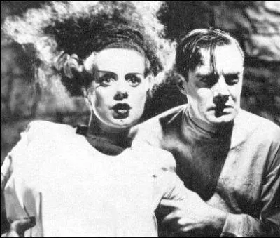 Voici un des plus clbres films de monstre ralis par James Whale en 1935.