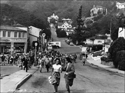 Mme mlange des genres dans ce film ralis par Don Siegel en 1956, o des extraterrestres s'emparent pendant la nuit des corps des habitants d'une petite ville.