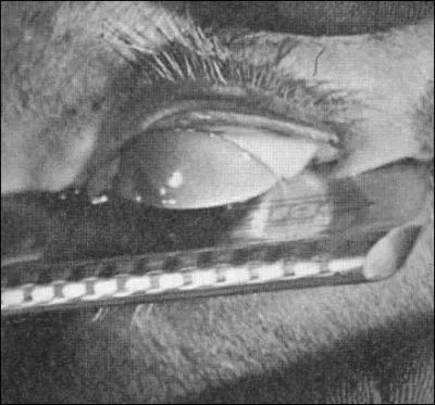 Nous partons en 1929 pour un film qui n'appartient pas au genre mais qui possde une scne marquante o Luis Buuel tranche l'oeil d'une femme avec une lame de rasoir. C'est :