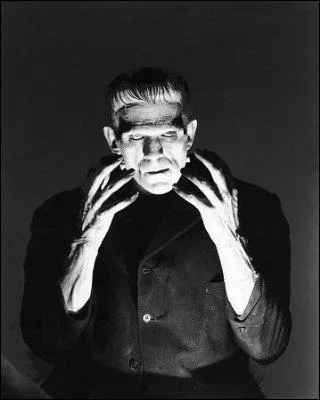 Le second est ralis par James Whale d'aprs le roman de Mary Shelley. C'est Boris Karloff qui joue le rle-titre. Ce film s'appelle :