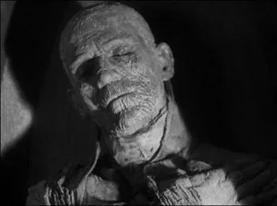 Ces trois films vont tre  l'origine de nombreux films de monstres dont certains sont rests clbres tel celui de Karl Freund en 1932 avec Boris Karloff. C'est :
