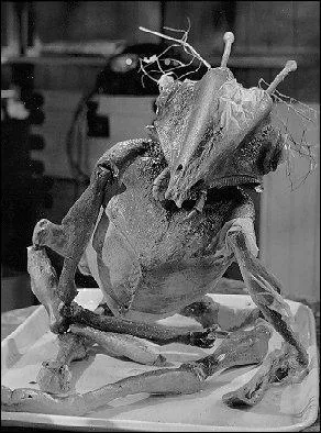 En 1967, le Britannique Roy Ward Baker mle habilement horreur et science fiction dans un film de Martiens dont John Carpenter a dit qu'il tait son film de rfrence. C'est :