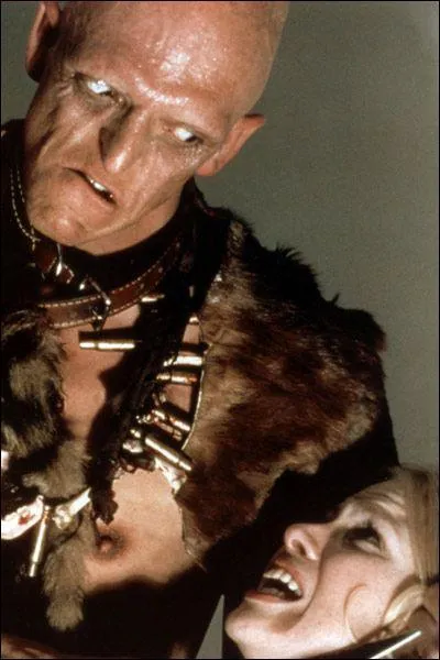 Un autre film, digne reprsentant du genre, est celui ralis par Wes Craven en 1977 dans lequel une famille se retrouve pourchasse par une bande de dgnrs. Le titre franais de ce film es