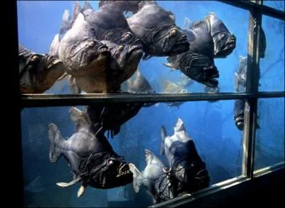 Aprs 'Les dents de la mer' tourn en 1975, les films mettant en scne des animaux-tueurs sont  la mode. Un des plus clbres est celui ralis par Joe Dante en 1978. C'est :