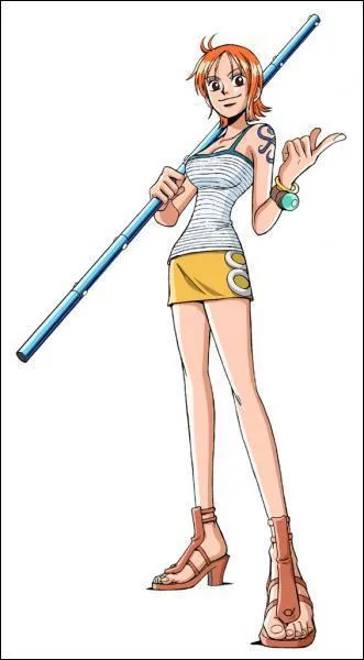 Quelle est la prime de Nami ?