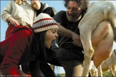 Trois gars et deux jeunes filles font une bien mauvaise rencontre en sortant de bote de nuit : celle de Joseph, un berger qui prpare une nuit de culte satanique. Film de Kim Chapiron, c'est :