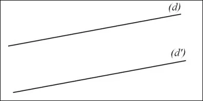 Comment appelle-t-on des droites qui ne se rencontrent jamais ?