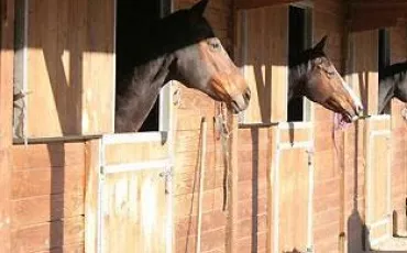 Quiz Galop 1