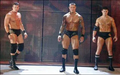 Quel est le nom de l'ancienne quipe Randy Orton, Ted Dibiasy et Cody Rhodes ?