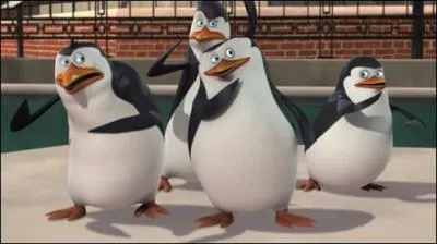 Quel est le nom du dessin anim ?