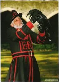 Cet oiseau, devenu trs rare, reprsente une tour trs visite !