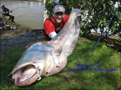 Et celui-ci, dont le record est actuellement de 305 kilos pour 4 m 50 vit ...