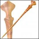  qui appartient cette baguette ?