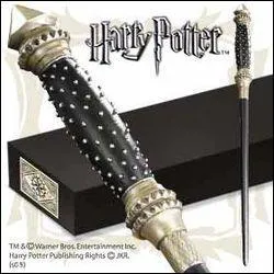  qui appartient cette baguette ?