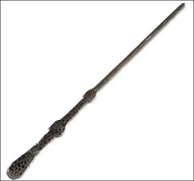  qui appartient cette baguette ?