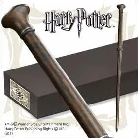  qui appartient cette baguette ?