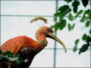 Quel Pokmon reconnat-on sur cette image ?