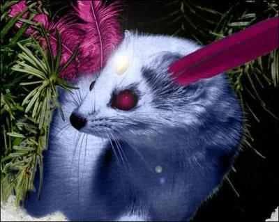 Quel Pokmon reconnat-on sur cette image ?