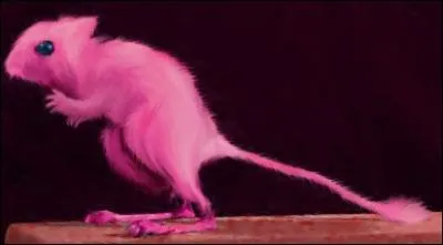 Quel Pokmon reconnat-on sur cette image ?