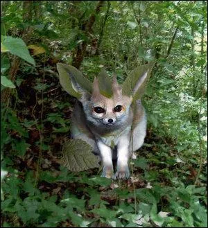 Quel Pokmon reconnat-on sur cette image ?