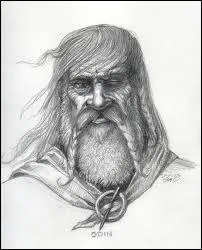 Le dieu Odin a perdu un oeil en change :