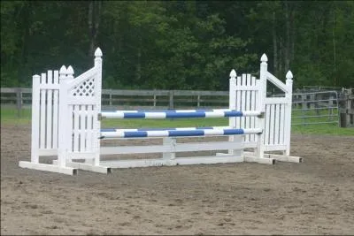 Comment se nomme cet obstacle ?