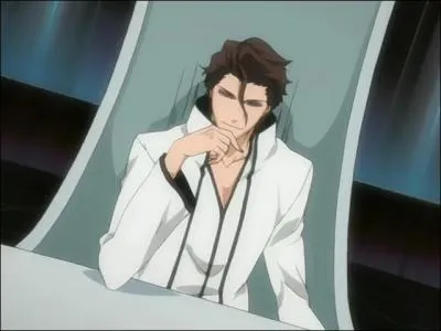Comment s'appelle le groupe de dix personnes dirig par Aizen Sosuke ?