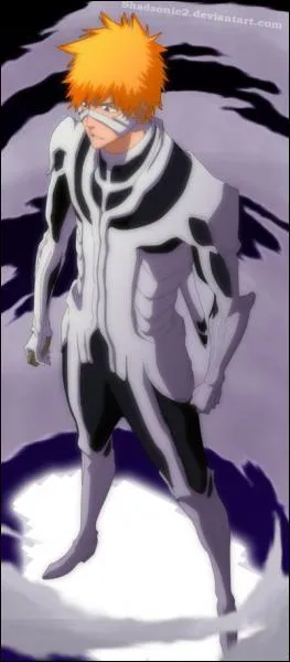 Quel est le nom du nouveau pouvoir d'Ichigo ?