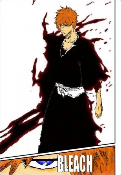 Quel objet permet  Ichigo la transformation ?