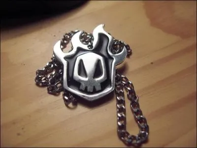 Qui est le premier Shinigami remplaant ?